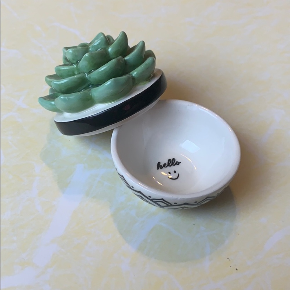 glass cactus container